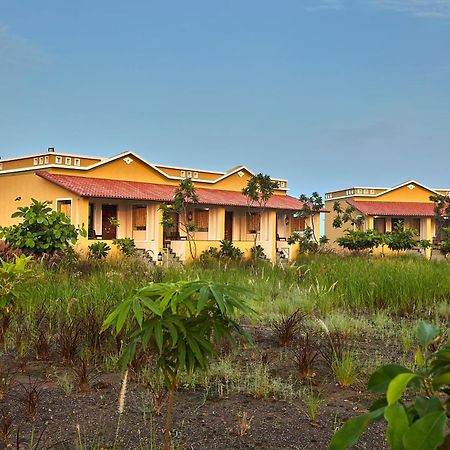 Blackbuck Safari Lodge Velavadar Bavliari Luaran gambar