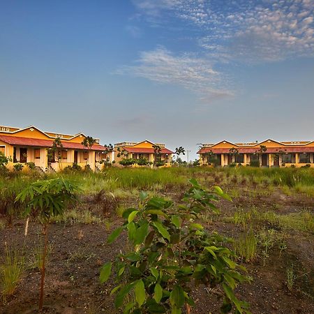 Blackbuck Safari Lodge Velavadar Bavliari Luaran gambar