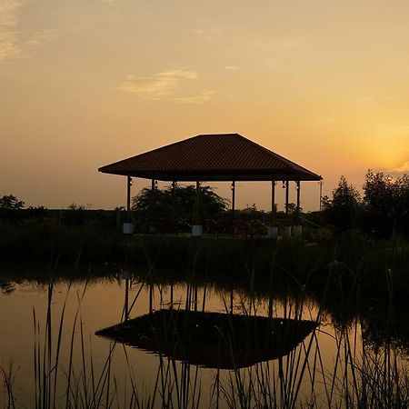 Blackbuck Safari Lodge Velavadar Bavliari Luaran gambar