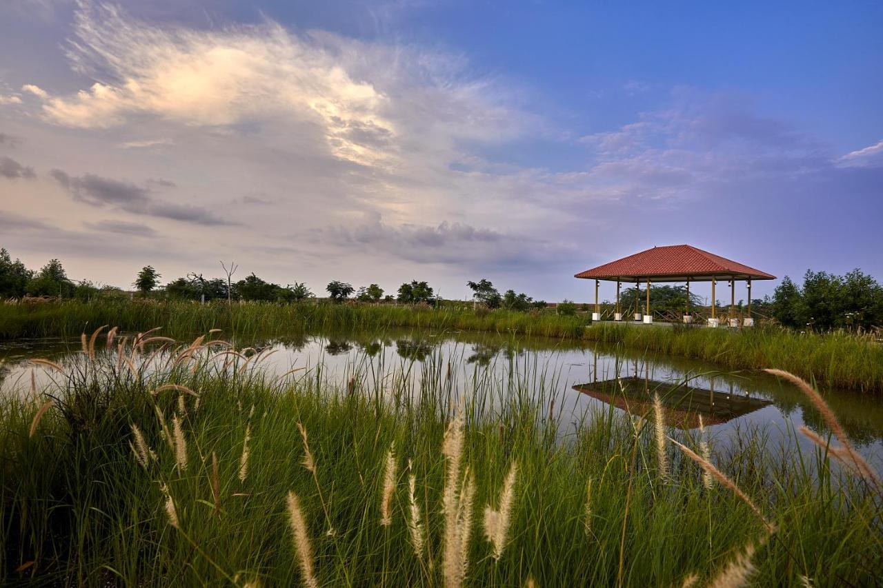 Blackbuck Safari Lodge Velavadar Bavliari Luaran gambar