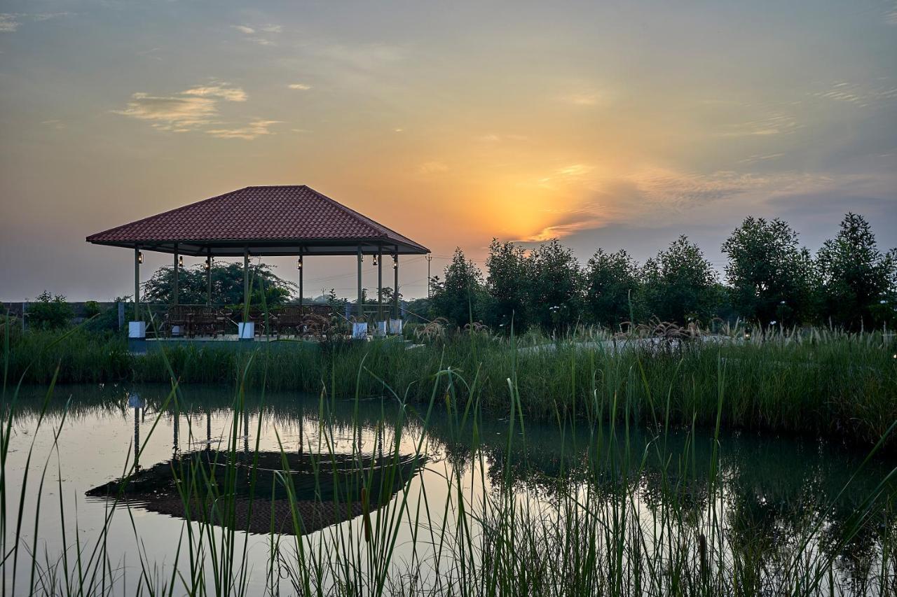 Blackbuck Safari Lodge Velavadar Bavliari Luaran gambar