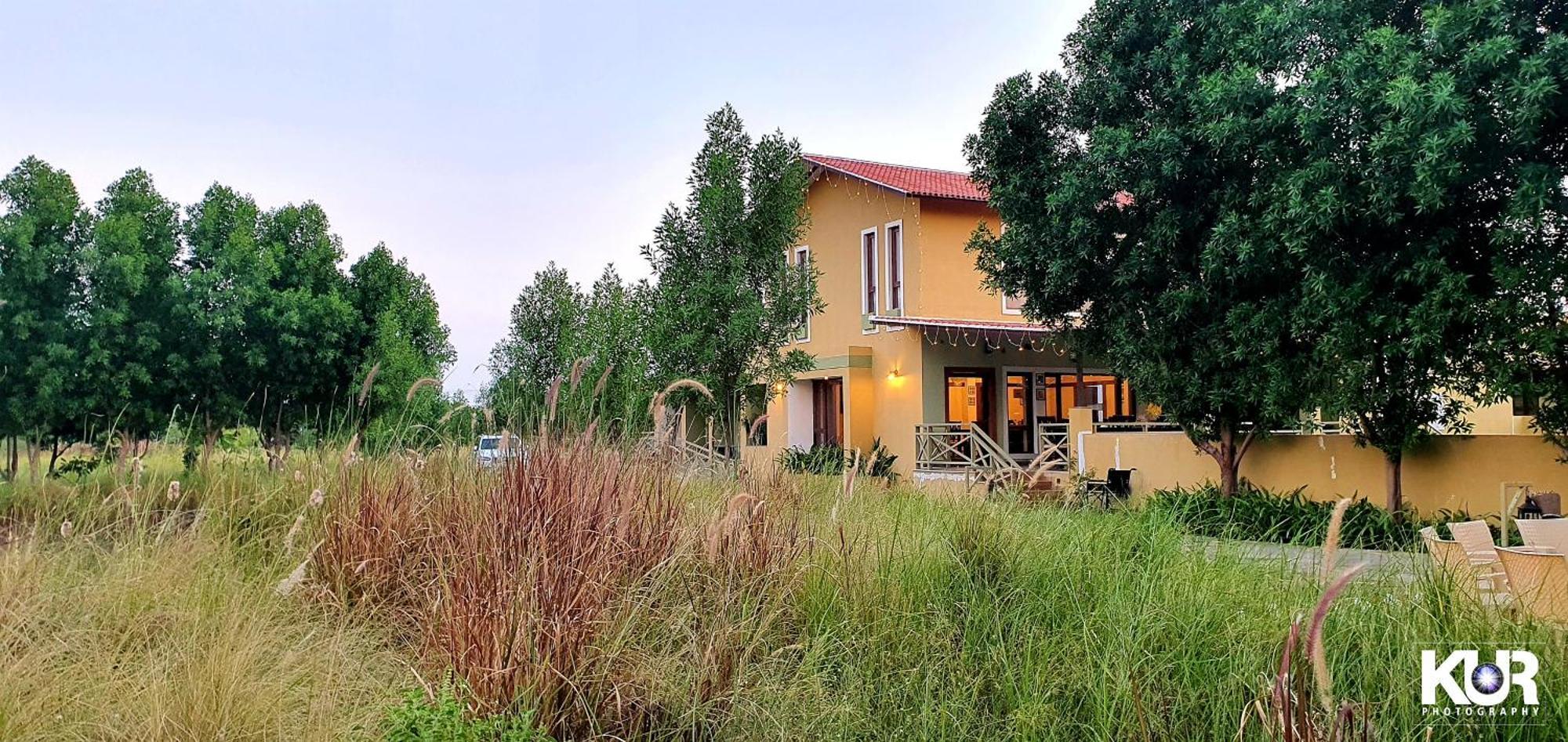 Blackbuck Safari Lodge Velavadar Bavliari Luaran gambar