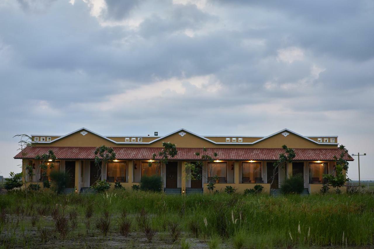 Blackbuck Safari Lodge Velavadar Bavliari Luaran gambar